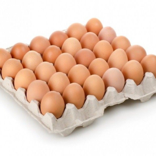 Telur Ayam Negeri